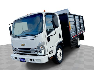 2025 Chevrolet Low Cab Forward 4500 NA