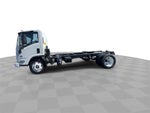 2024 Chevrolet Low Cab Forward 5500 XD NA