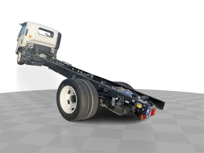 2024 Chevrolet Low Cab Forward 5500 HD NA