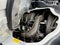 2025 Chevrolet Low Cab Forward 4500 HG NA