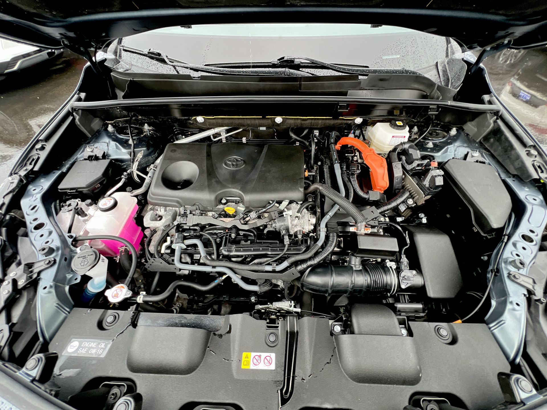 2024 Toyota Venza LE